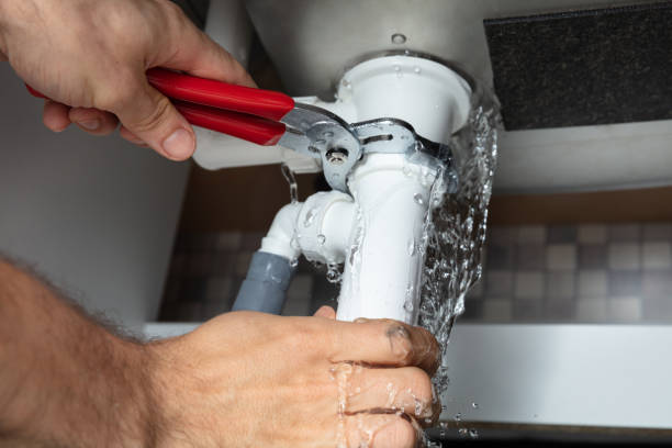 Best Flood damage cleanup  in Celina, OH