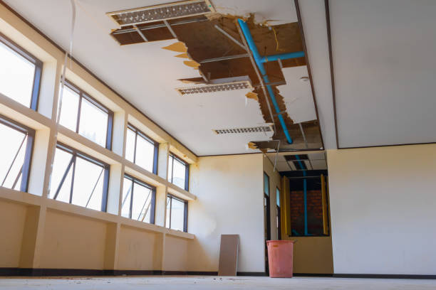 Best Commercial water damage restoration  in Celina, OH