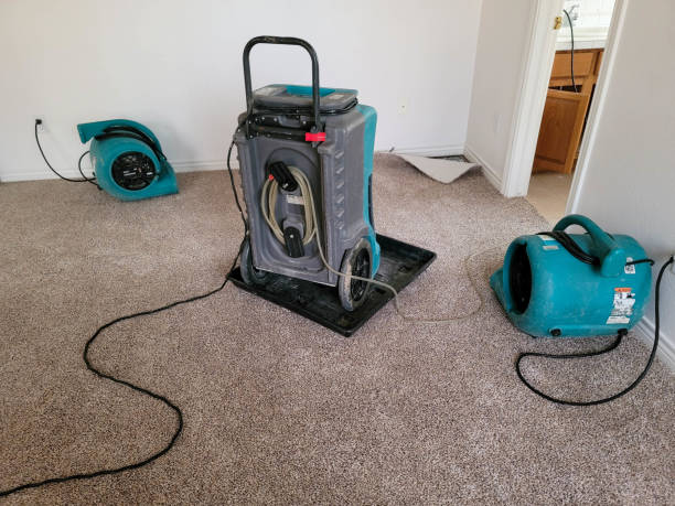 Best Water damage repair service  in Celina, OH