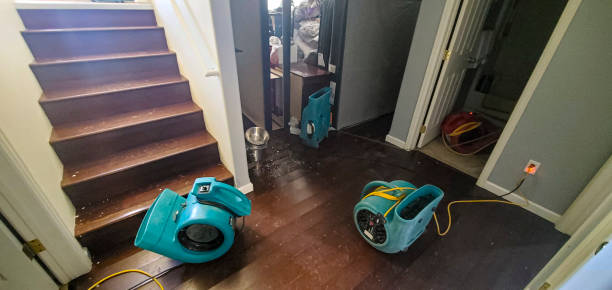 Best Flooded house restoration  in Celina, OH
