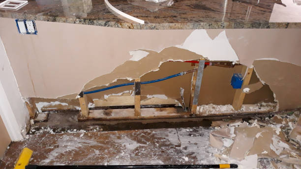 Best Commercial water damage restoration  in Celina, OH
