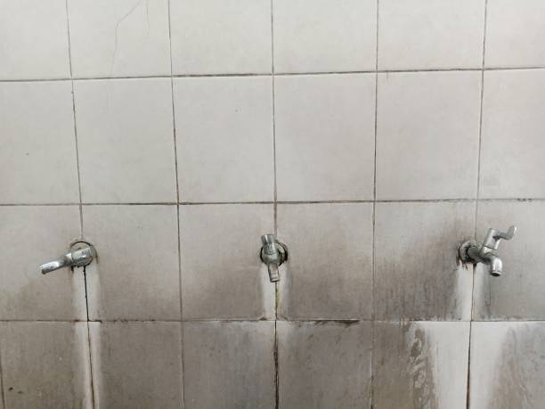 Best Carpet water damage restoration  in Celina, OH