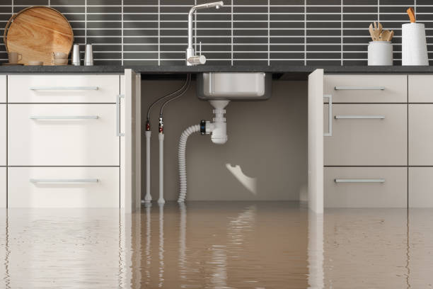 Best 24/7 water damage repair  in Celina, OH