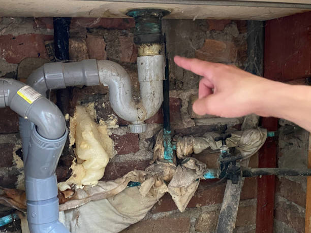 Best 24-hour water damage restoration  in Celina, OH