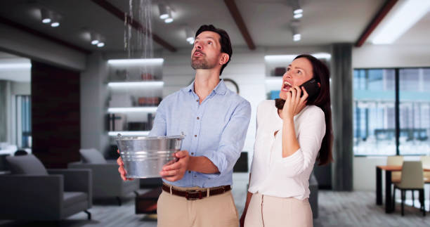 Best Water damage restoration near me  in Celina, OH